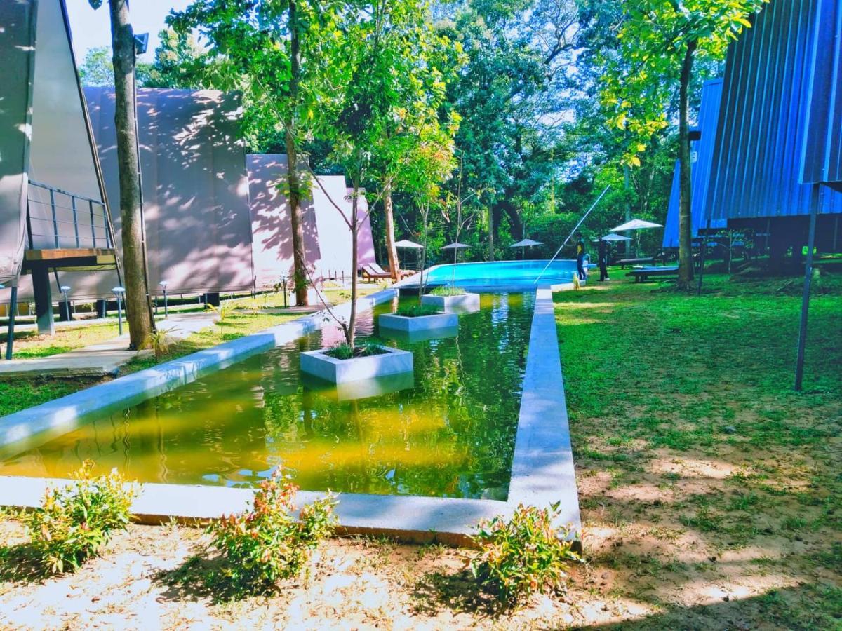 Kottawatta River Bank Resort Udawalawe Luaran gambar